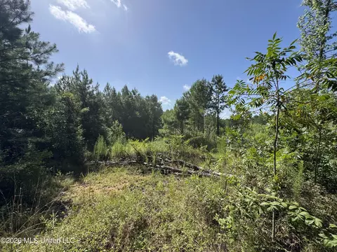 32 Sauls Rd # A, Ruth, MS 39662 photo 10