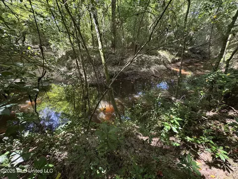 32 Sauls Rd # A, Ruth, MS 39662 photo 22