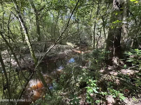 32 Sauls Rd # A, Ruth, MS 39662 photo 21