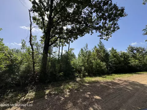 32 Sauls Rd # A, Ruth, MS 39662 photo 9