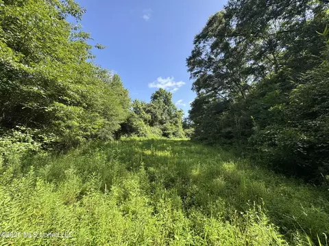 32 Sauls Rd # A, Ruth, MS 39662 photo 16