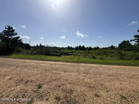 32 Sauls Rd # A, Ruth, MS 39662
