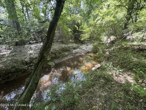 32 Sauls Rd # A, Ruth, MS 39662 photo 6