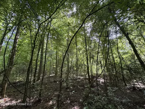 32 Sauls Rd # A, Ruth, MS 39662 photo 20