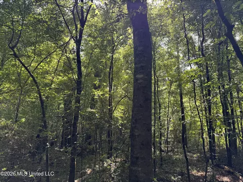 32 Sauls Rd # A, Ruth, MS 39662 photo 17