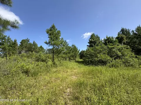 32 Sauls Rd # A, Ruth, MS 39662 photo 14