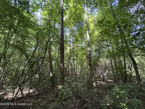 32 Sauls Rd # A, Ruth, MS 39662 photo 19