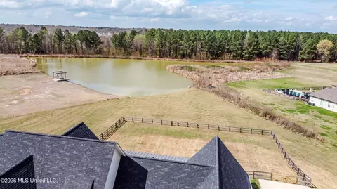 503 Clark Stables Rd, Brandon, MS 39047 photo 8