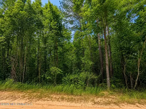 4 39 Acres Man Moulds Rd, Lucedale, MS 39452 photo 10