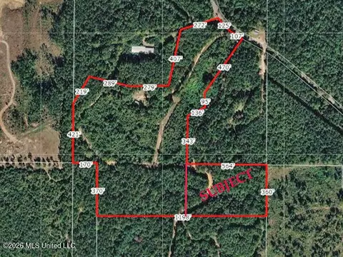 4 39 Acres Man Moulds Rd, Lucedale, MS 39452 photo 2