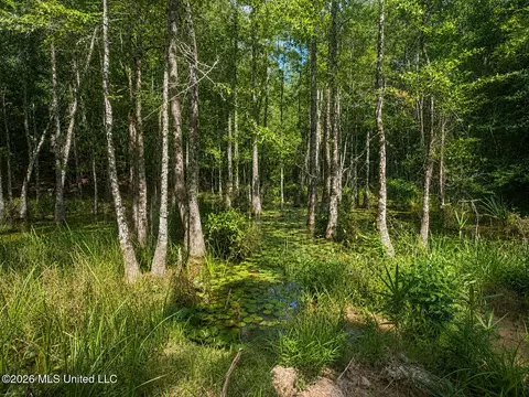 4 39 Acres Man Moulds Rd, Lucedale, MS 39452 photo 13