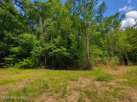 4 39 Acres Man Moulds Rd, Lucedale, MS 39452 photo 5