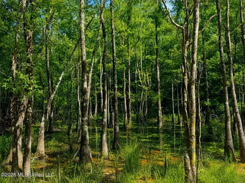 4 39 Acres Man Moulds Rd, Lucedale, MS 39452 photo 12