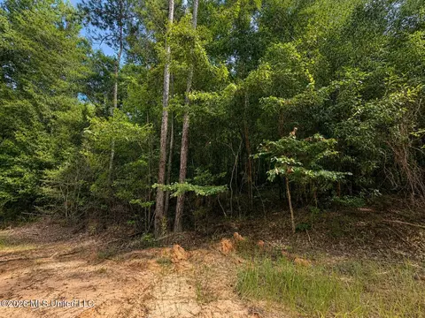 4 39 Acres Man Moulds Rd, Lucedale, MS 39452 photo 8