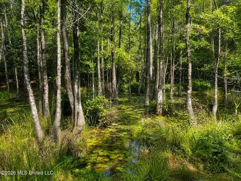 4 39 Acres Man Moulds Rd, Lucedale, MS 39452 photo 14