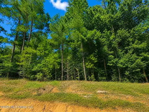 4 39 Acres Man Moulds Rd, Lucedale, MS 39452 photo 4