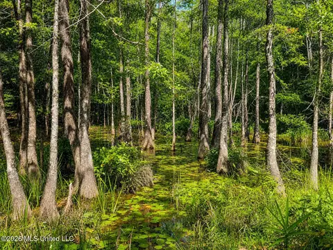 4 39 Acres Man Moulds Rd, Lucedale, MS 39452 photo 15