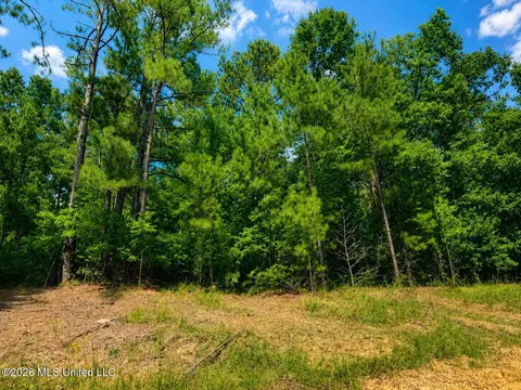 4 39 Acres Man Moulds Rd, Lucedale, MS 39452 photo 3