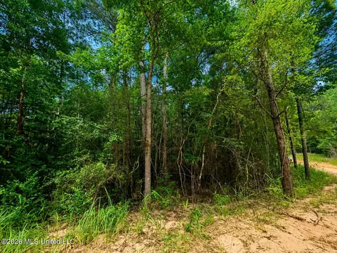 4 39 Acres Man Moulds Rd, Lucedale, MS 39452 photo 11