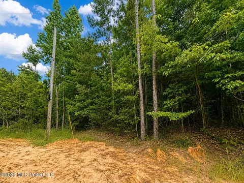 4 39 Acres Man Moulds Rd, Lucedale, MS 39452 photo 7