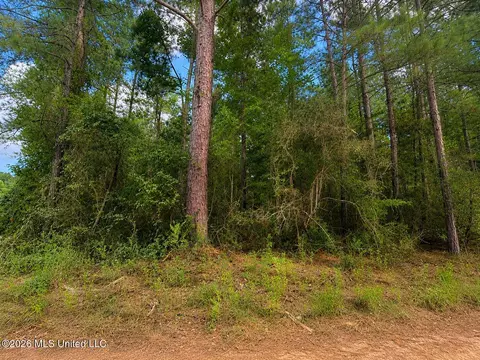 4 39 Acres Man Moulds Rd, Lucedale, MS 39452 photo 6