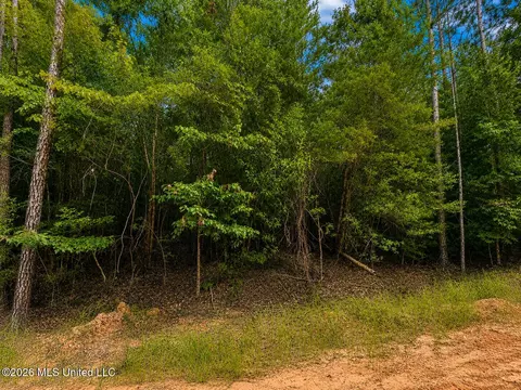 4 39 Acres Man Moulds Rd, Lucedale, MS 39452 photo 9