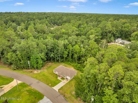 View/Area - 1084 Koloa Ct, Diamondhead, MS 39525 photo 4 of 4