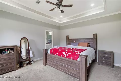 430 Rolling Hills Cir, Brandon, MS 39042 photo 18