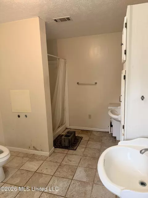 Bath - 1117 NW Montgomery Ln, Wesson, MS 39191 photo 2 of 7