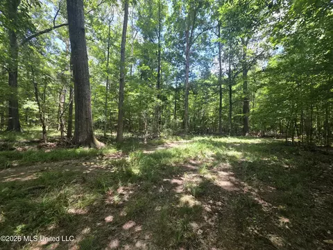 Scrd 538e, Morton, MS 39117 photo 23