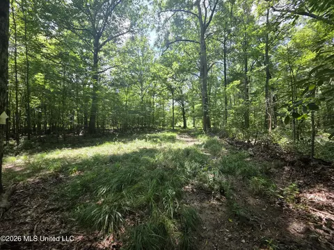 Scrd 538e, Morton, MS 39117 photo 28