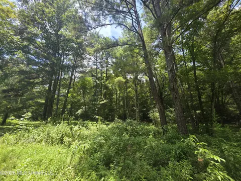 Scrd 538e, Morton, MS 39117 photo 13