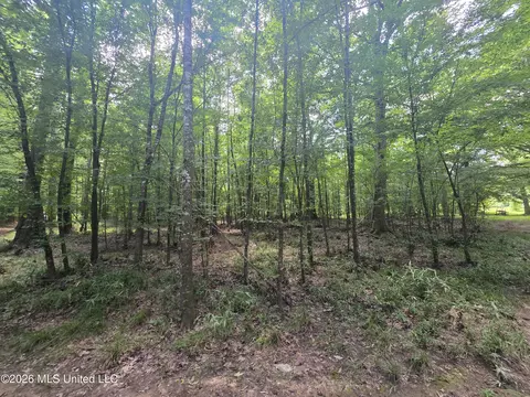 Scrd 538e, Morton, MS 39117 photo 21
