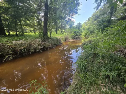 Scrd 538e, Morton, MS 39117 photo 15