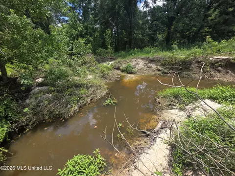 Scrd 538e, Morton, MS 39117 photo 6