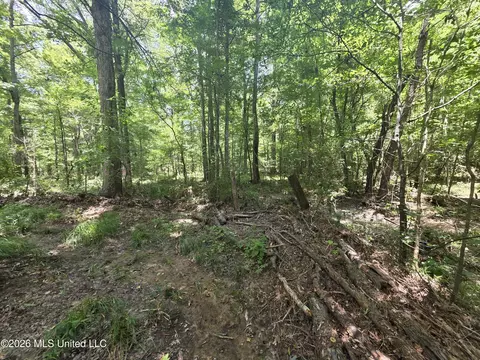 Scrd 538e, Morton, MS 39117 photo 30