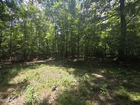 Scrd 538e, Morton, MS 39117 photo 27