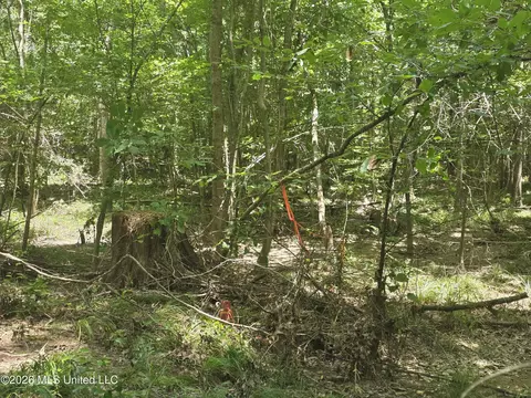 Scrd 538e, Morton, MS 39117 photo 29
