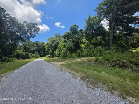 Scrd 538e, Morton, MS 39117 photo 4