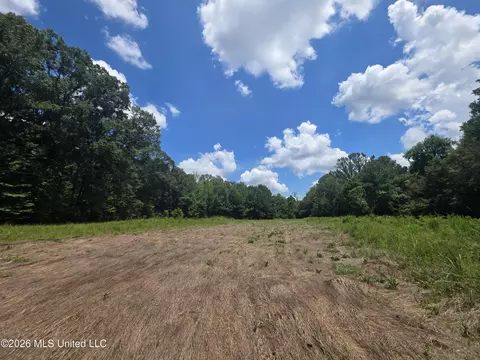 Scrd 538e, Morton, MS 39117 photo 17