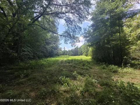 Scrd 538e, Morton, MS 39117 photo 19