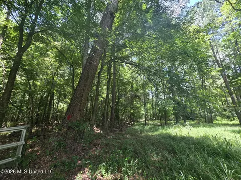 Scrd 538e, Morton, MS 39117 photo 12