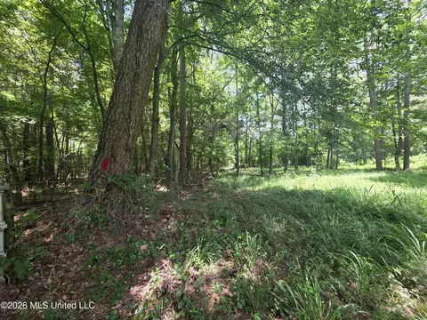 Scrd 538e, Morton, MS 39117 photo 10