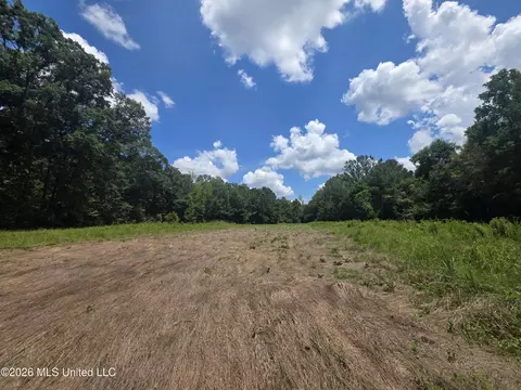 Scrd 538e, Morton, MS 39117 photo 16