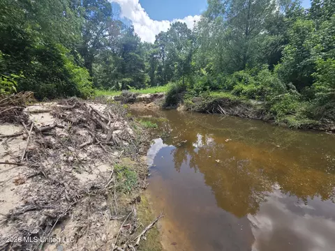Scrd 538e, Morton, MS 39117 photo 8
