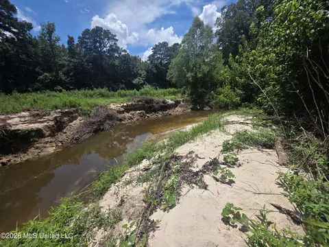Scrd 538e, Morton, MS 39117 photo 5