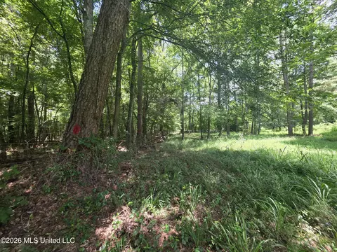 Scrd 538e, Morton, MS 39117 photo 9