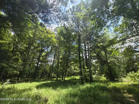 Scrd 538e, Morton, MS 39117 photo 11