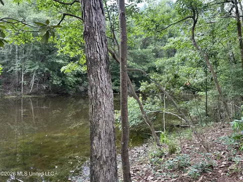 Other - 211 Clark Cemetery Rd, Laurel, MS 39443 photo 7 of 8