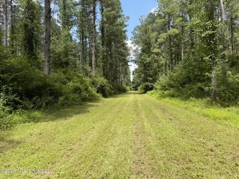 1026 Mt Olive Rd, Mount Olive, MS 39119 photo 49